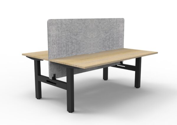 Boost  Static Back to Back Workstation with Screen