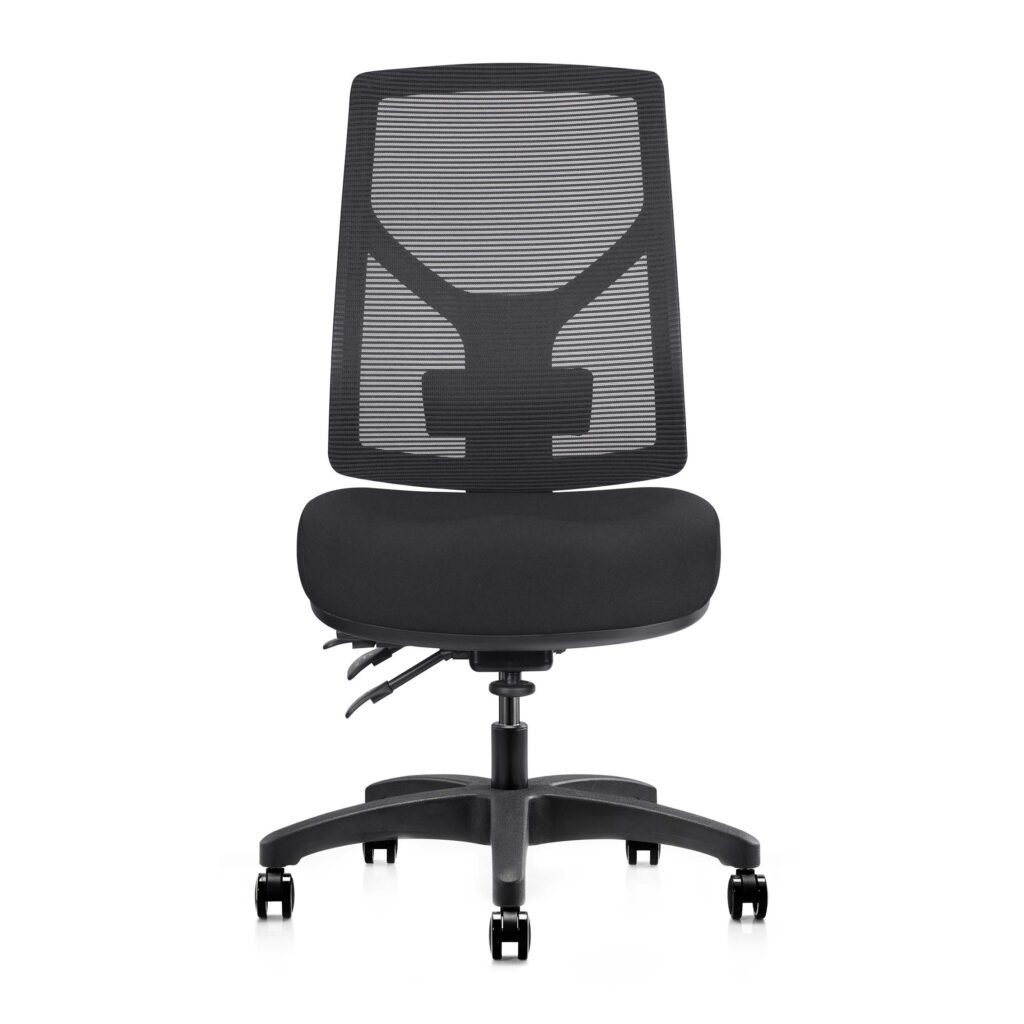 Rapidline Gust HD Mesh Chair | Breathable Back, Adjustable Lumbar, BIFMA X5.11 Certified, 10-Year Warranty